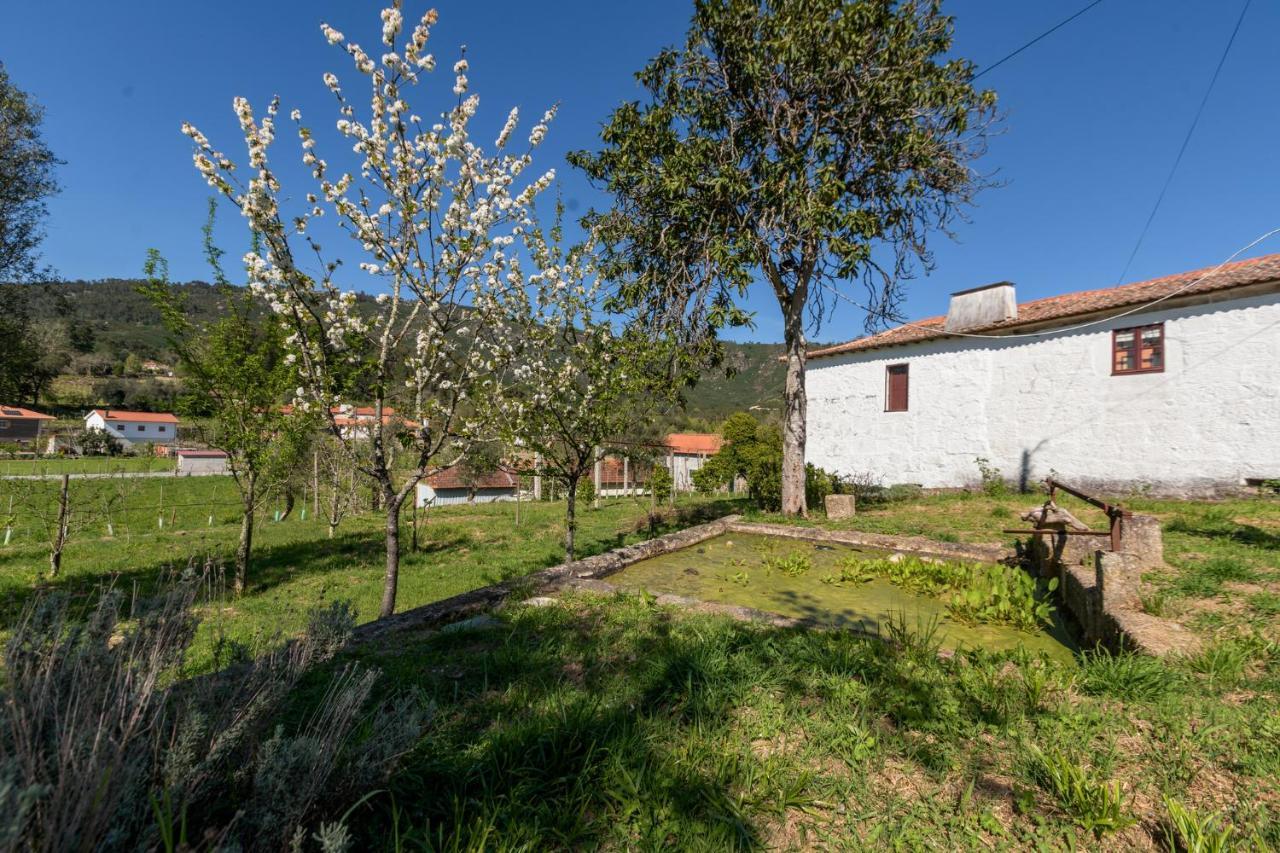 Гостьовий будинок Casa Lavoura Em Requeixo Селоріку-де-Башту Екстер'єр фото